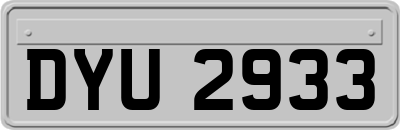 DYU2933