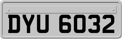 DYU6032