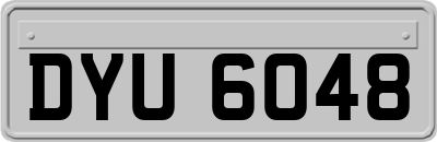 DYU6048