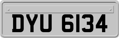 DYU6134