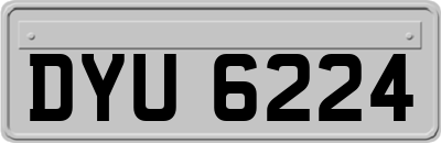 DYU6224