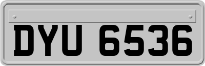 DYU6536