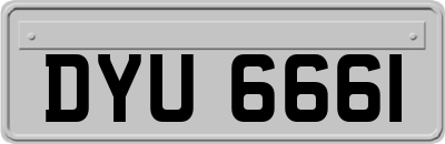 DYU6661
