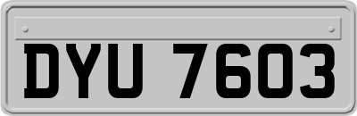 DYU7603