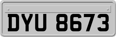 DYU8673