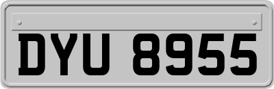 DYU8955