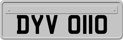 DYV0110