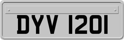 DYV1201