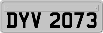 DYV2073