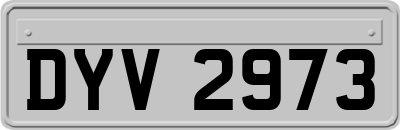 DYV2973