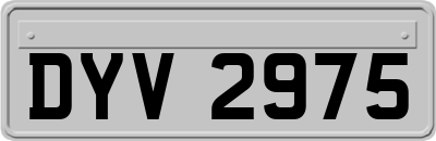 DYV2975