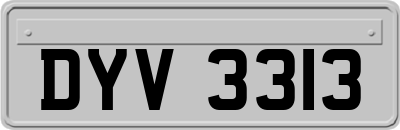 DYV3313