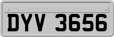 DYV3656
