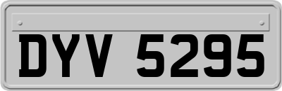 DYV5295
