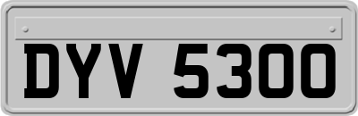 DYV5300