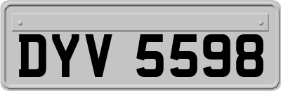 DYV5598