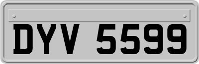 DYV5599