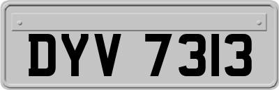 DYV7313