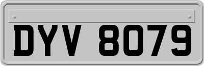 DYV8079