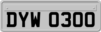 DYW0300