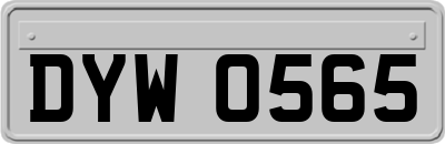 DYW0565