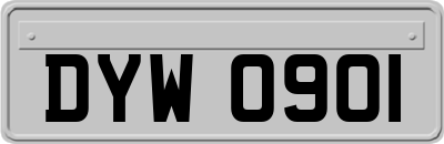 DYW0901