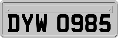 DYW0985