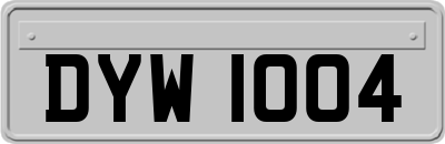 DYW1004