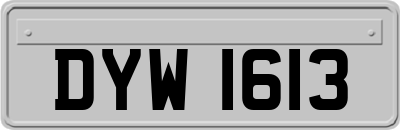 DYW1613