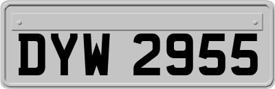 DYW2955