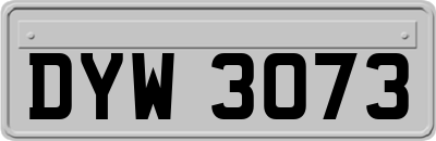 DYW3073