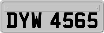 DYW4565