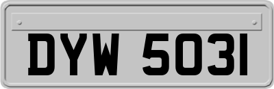 DYW5031