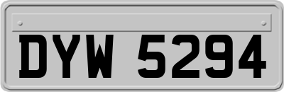 DYW5294