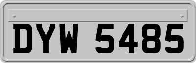 DYW5485