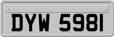 DYW5981