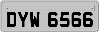 DYW6566