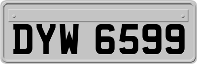 DYW6599