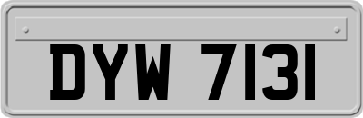 DYW7131