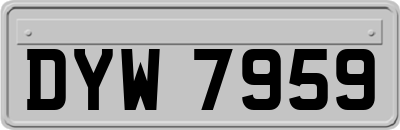 DYW7959