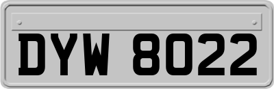 DYW8022