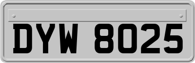 DYW8025