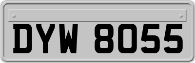 DYW8055