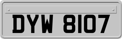 DYW8107