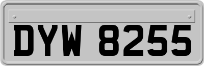 DYW8255