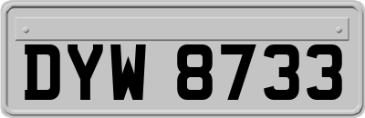 DYW8733