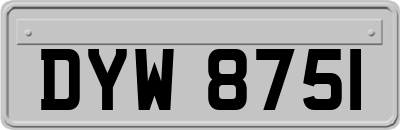 DYW8751