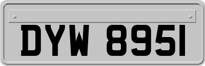 DYW8951
