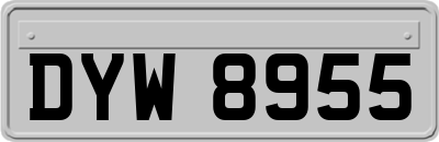 DYW8955