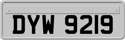 DYW9219
